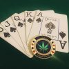 SW Poker Card-Guard Coin Collectibles Table Games Poker Card-Guard Protector Golden Coin Chip w/ Plastic Case, Poker Chips Coin, A Great Coin Collecting Gifts for Husband, Father, Friends - Image 2