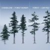 Mountain Trees - Dynamic Nature - Image 2